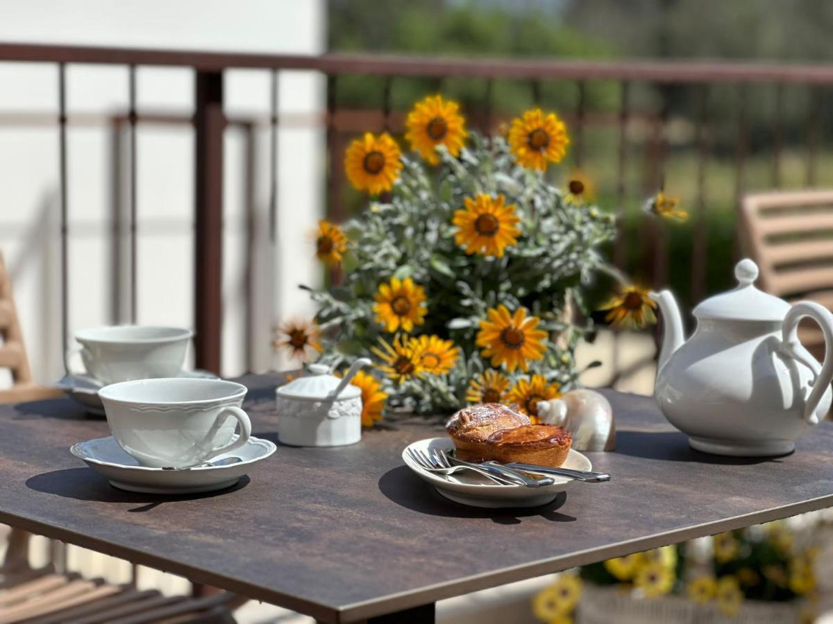 Bed and Breakfast Carrubia Nardò Zewnętrze zdjęcie